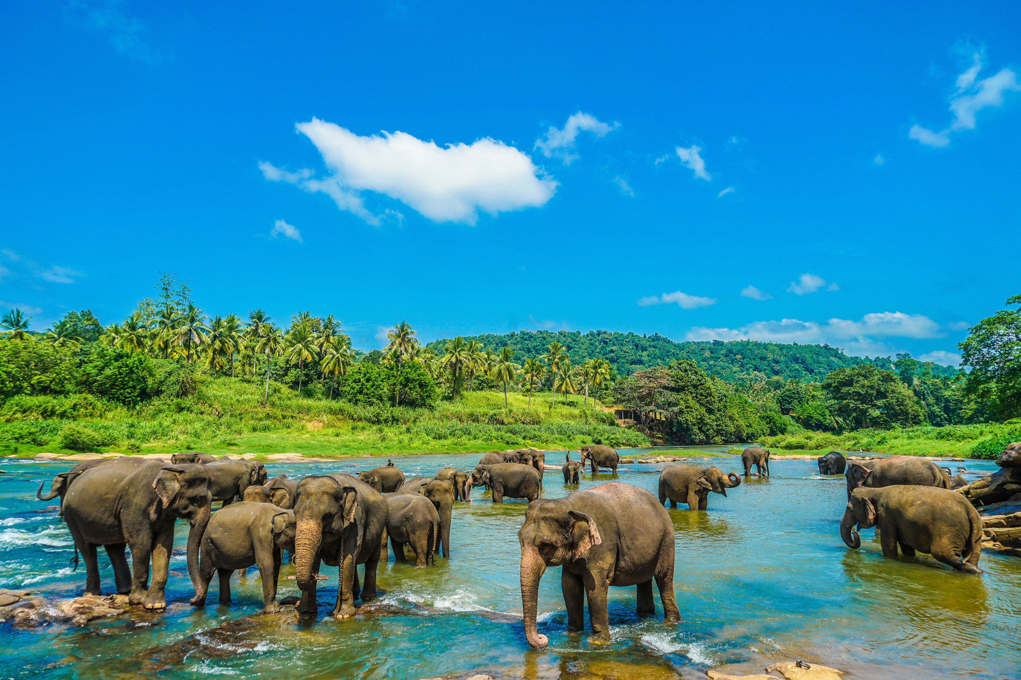 Zen Places in Sri Lanka: 8 Luxury Stays for the Ultimate Peace and Escape